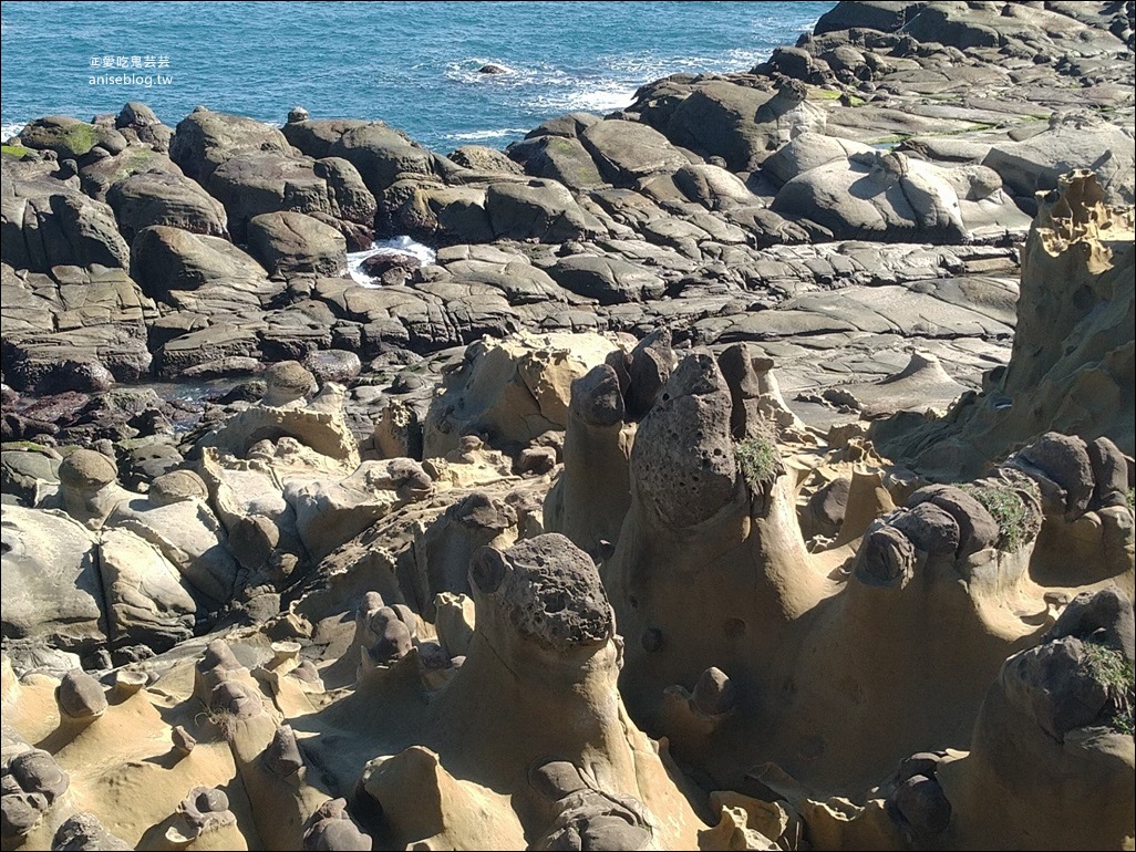 東北角海岸線小旅行，30個景點、秘境一次收錄(姊姊遊記)