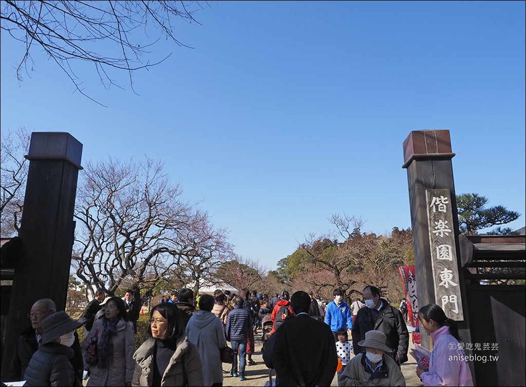 茨城縣賞梅 | 偕樂園、弘道館、筑波山梅林