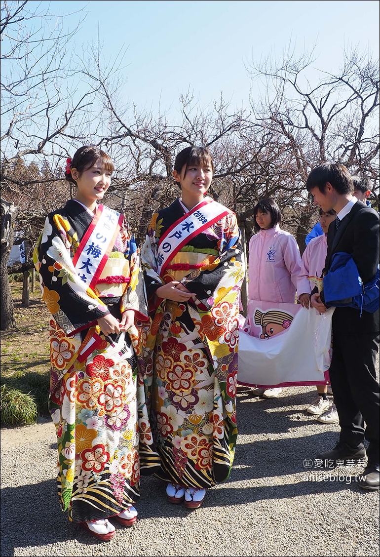 茨城縣賞梅 | 偕樂園、弘道館、筑波山梅林