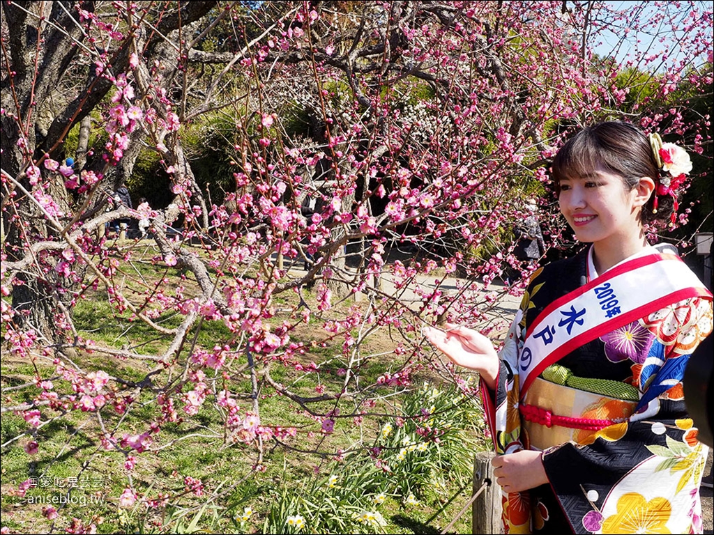 茨城縣賞梅 | 偕樂園、弘道館、筑波山梅林