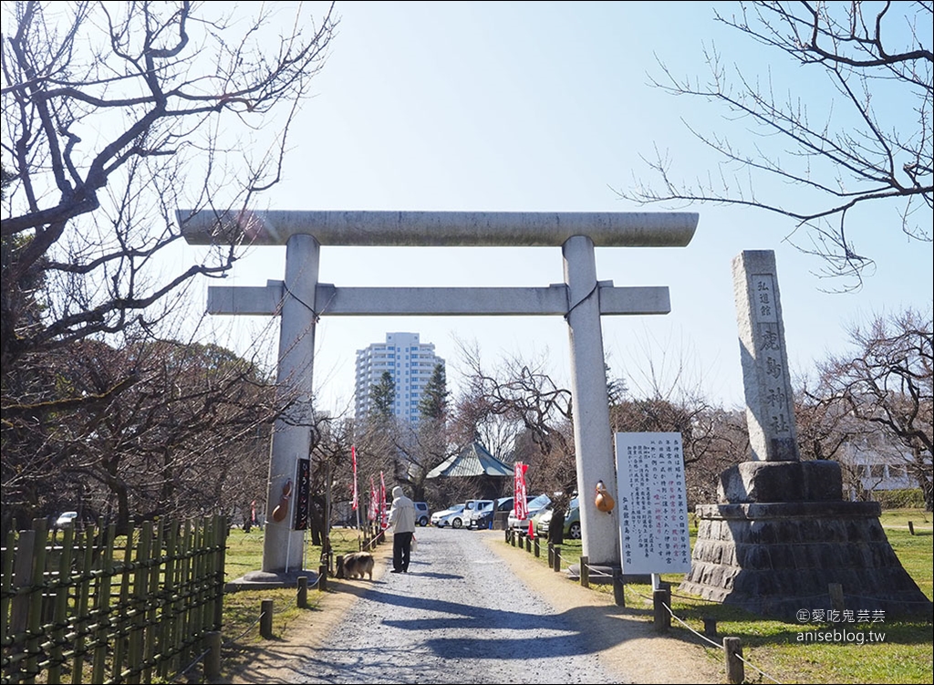 茨城縣賞梅 | 偕樂園、弘道館、筑波山梅林