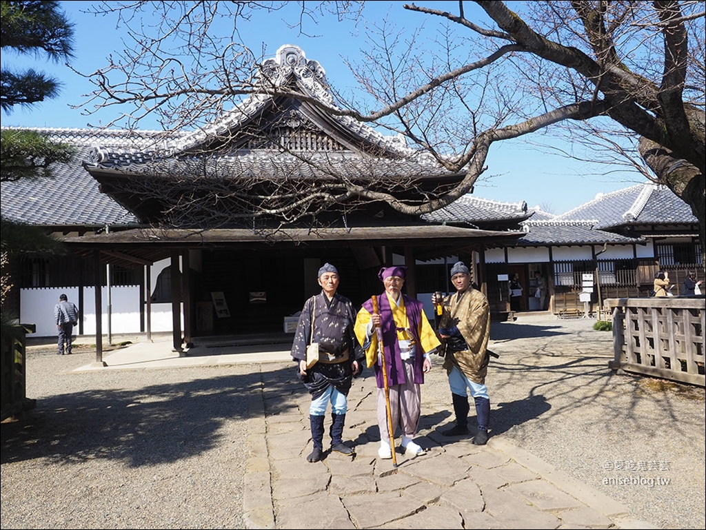 茨城縣賞梅 | 偕樂園、弘道館、筑波山梅林