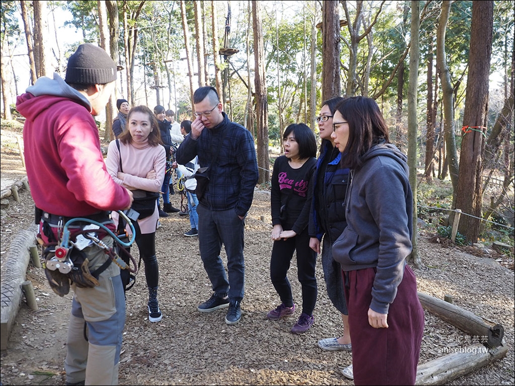 茨城縣賞梅 | 偕樂園、弘道館、筑波山梅林