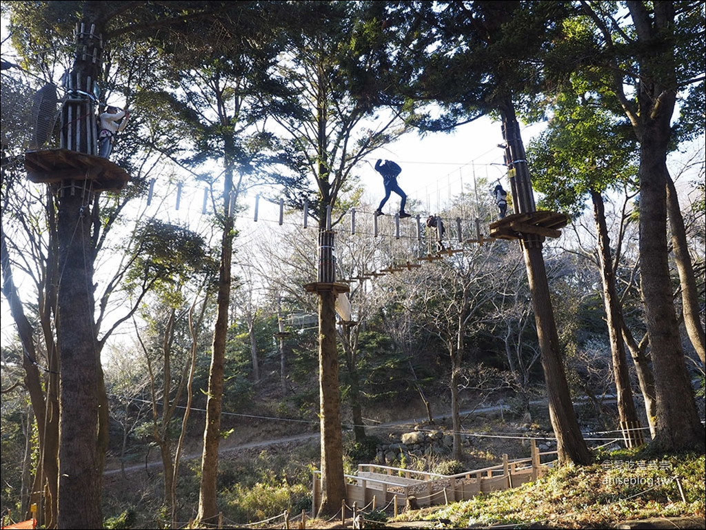 茨城縣賞梅 | 偕樂園、弘道館、筑波山梅林