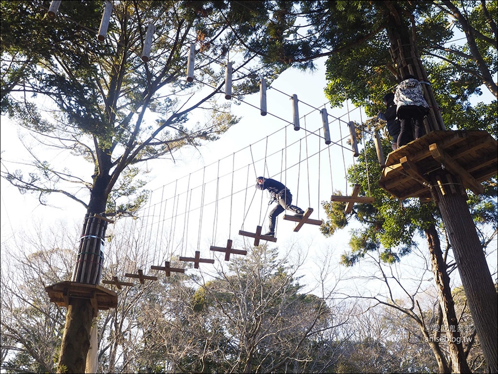 茨城縣賞梅 | 偕樂園、弘道館、筑波山梅林