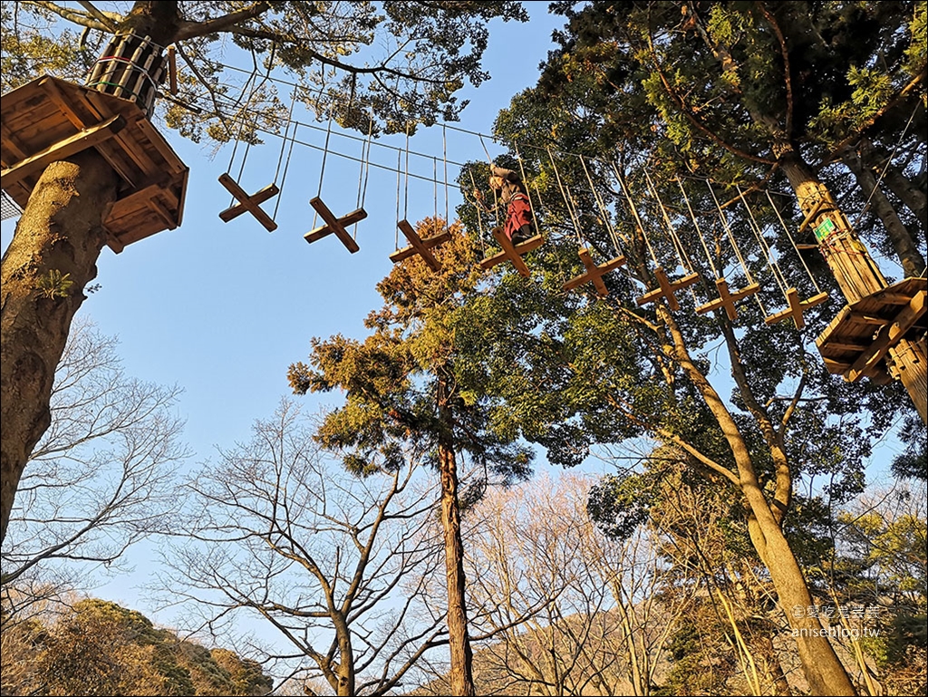 茨城縣賞梅 | 偕樂園、弘道館、筑波山梅林