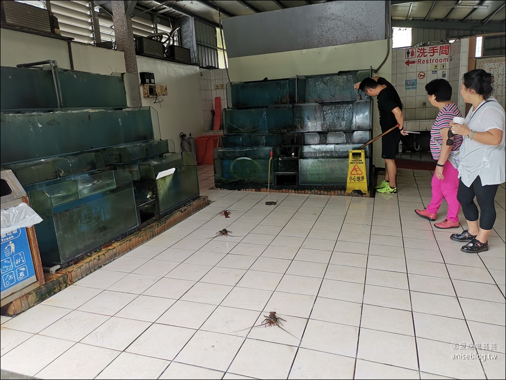 口福海鮮餐廳@石梯坪漁港，生猛海鮮、龍蝦料理