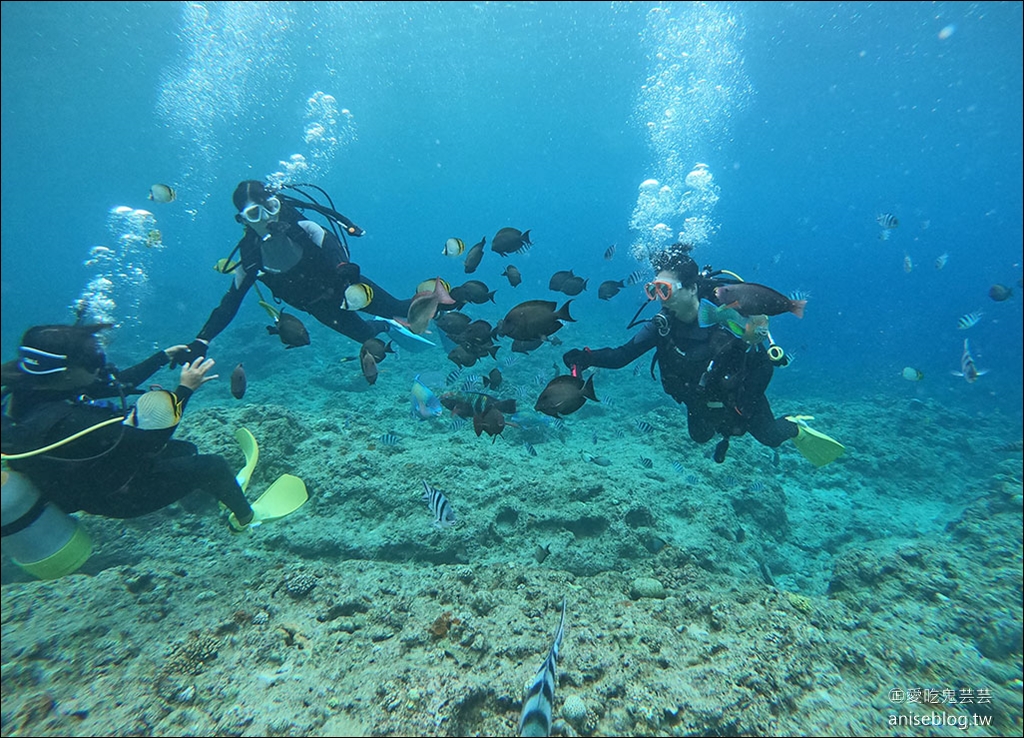 沖繩青之洞窟潛水My Diving，怕水的妹子也挑戰成功啦！