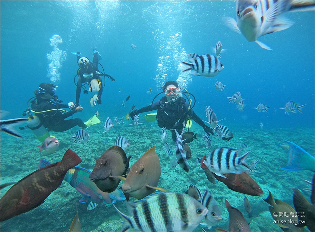 沖繩青之洞窟潛水My Diving，怕水的妹子也挑戰成功啦！