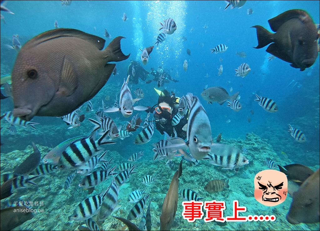 沖繩青之洞窟潛水My Diving，怕水的妹子也挑戰成功啦！