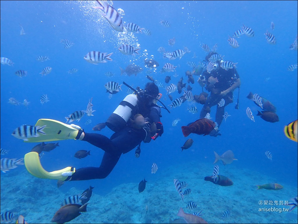 沖繩青之洞窟潛水My Diving，怕水的妹子也挑戰成功啦！