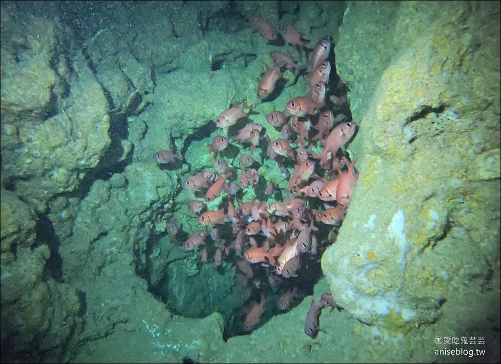 沖繩青之洞窟潛水My Diving，怕水的妹子也挑戰成功啦！