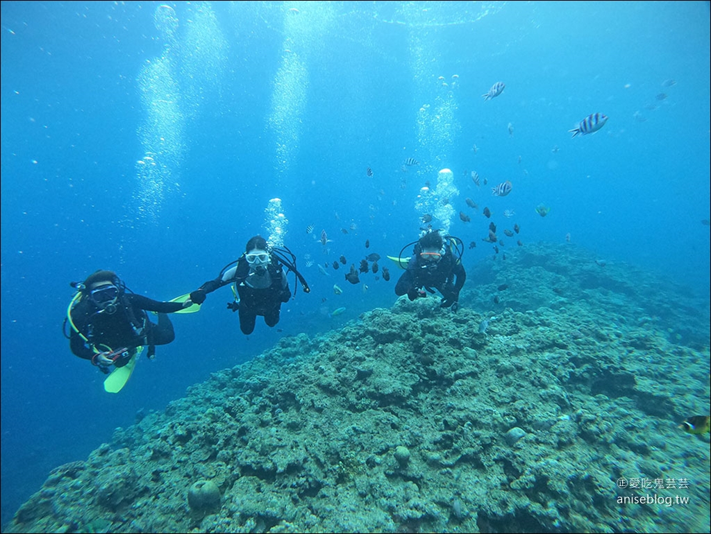 沖繩青之洞窟潛水My Diving，怕水的妹子也挑戰成功啦！