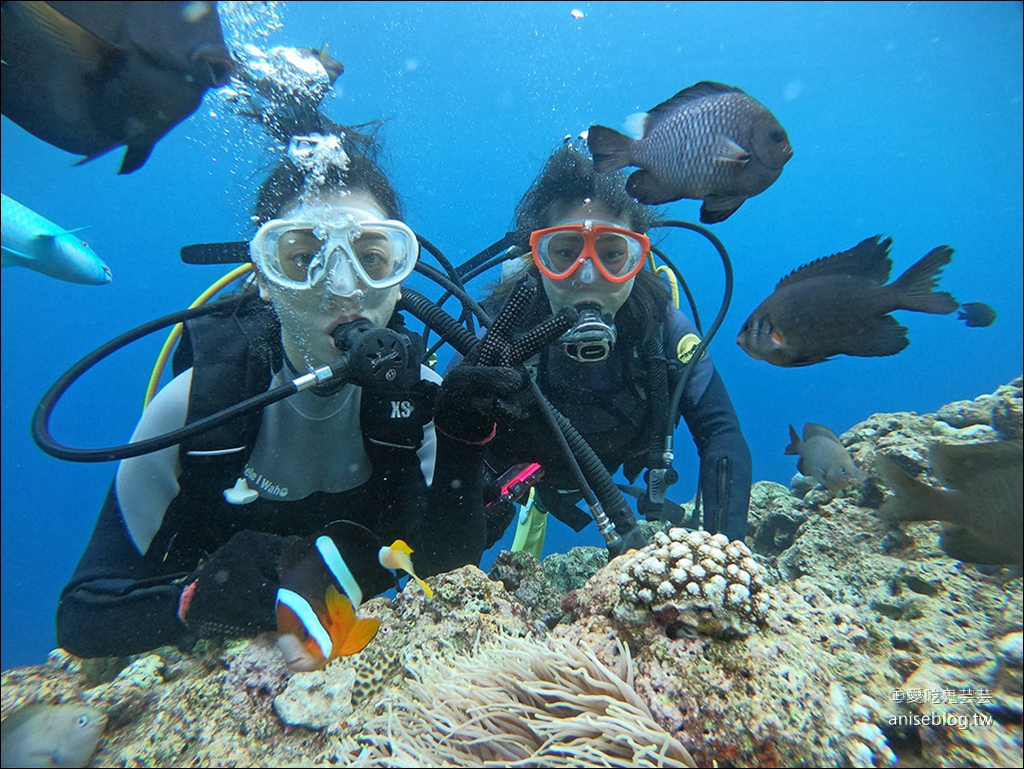 沖繩青之洞窟潛水My Diving，怕水的妹子也挑戰成功啦！