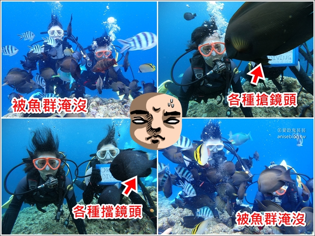 沖繩青之洞窟潛水My Diving，怕水的妹子也挑戰成功啦！