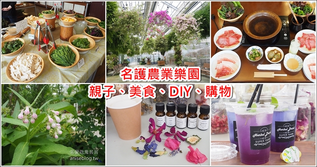 名護農業樂園 | 沖繩親子景點，美食、DIY、農場、名產購物一次滿足！