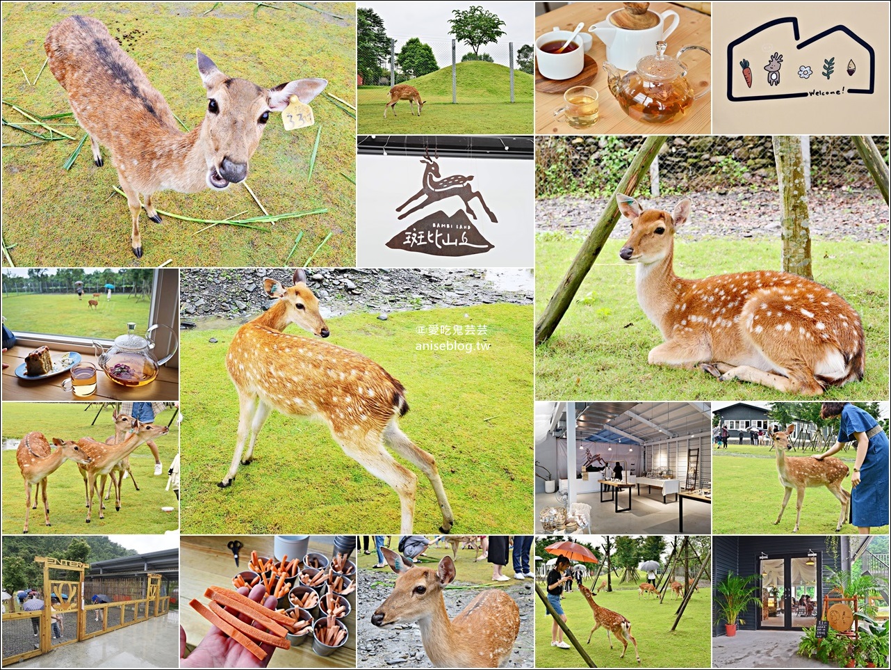 斑比山丘、美美子咖啡，台灣版小奈良與小鹿一起散步，宜蘭新景點(姊姊遊記) @愛吃鬼芸芸