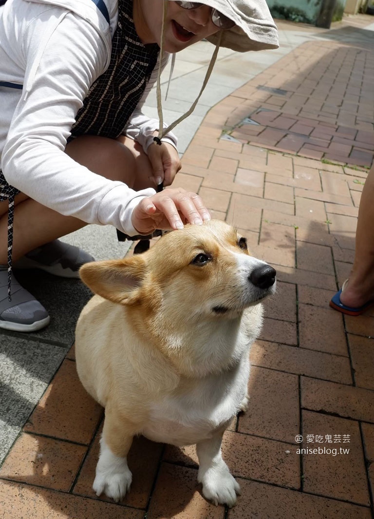 澳門網美照景點推薦 | 路環繽紛老巷弄，聖方濟各堂、美女巷、老人圍、路環圖書館、路環碼頭、黑沙龍爪角海濱路等