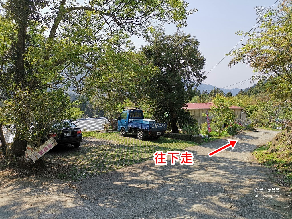 奮起湖一日遊 | 奮起湖大飯店、奮起湖便當、奮起湖老街、百年檜木甜甜圈、街仔尾草仔粿、星空童話木屋、百年老老街黑莓咖啡