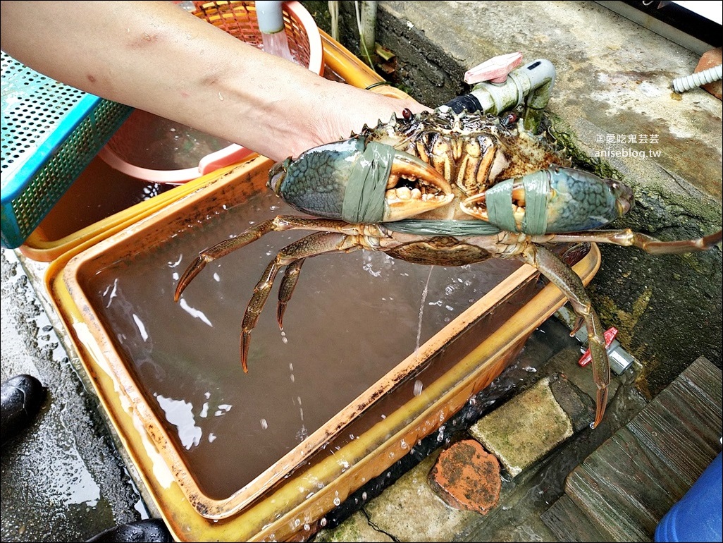 龜吼漁港靖瑜平價海鮮，秋蟹正肥美萬里蟹季又到了，北海岸萬里美食(姊姊食記)