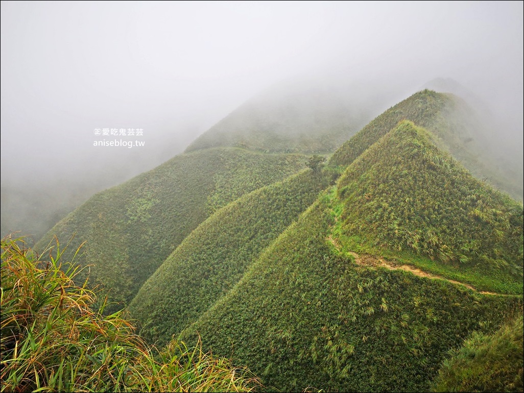 帶著清珍早點蔥燒餅再訪抹茶山，宜蘭礁溪老店早餐美食(姊姊食記)