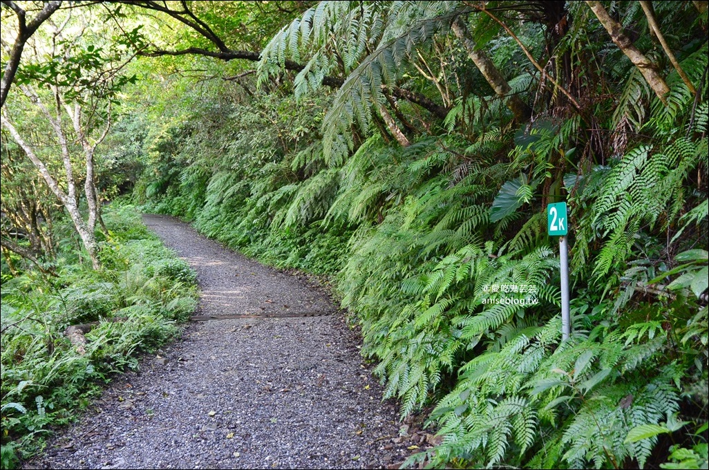 宜蘭礁溪抹茶山、聖母登山步道，遠眺龜山島俯瞰蘭陽平原絕美景緻(姊姊遊記)