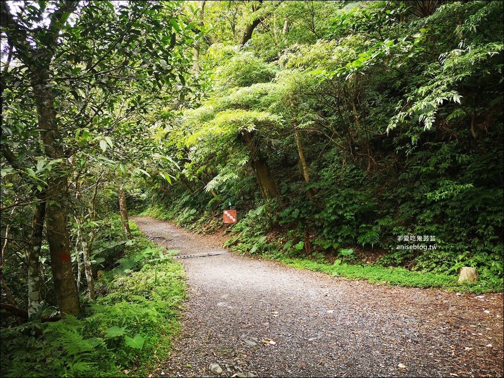 宜蘭礁溪抹茶山、聖母登山步道，遠眺龜山島俯瞰蘭陽平原絕美景緻(姊姊遊記)