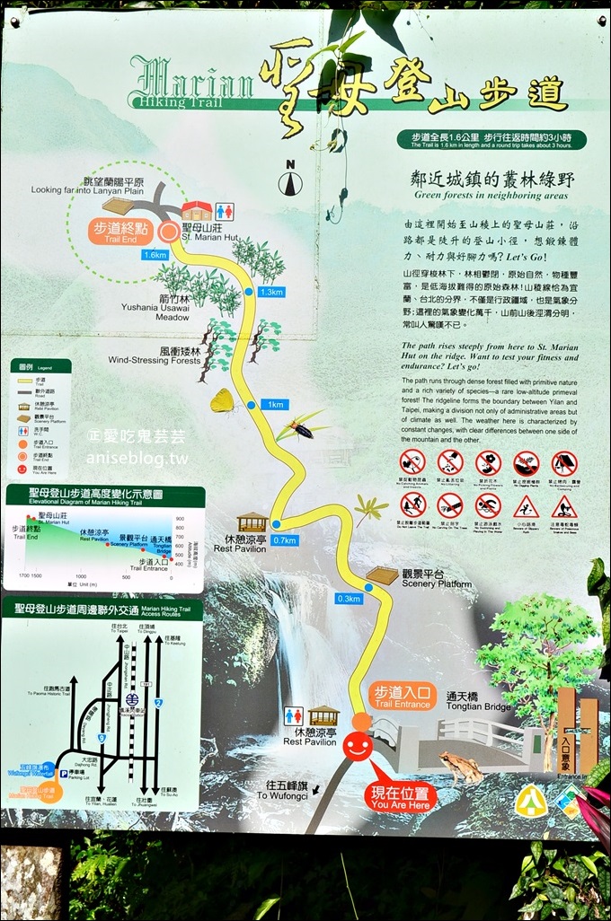 宜蘭礁溪抹茶山、聖母登山步道，遠眺龜山島俯瞰蘭陽平原絕美景緻(姊姊遊記)