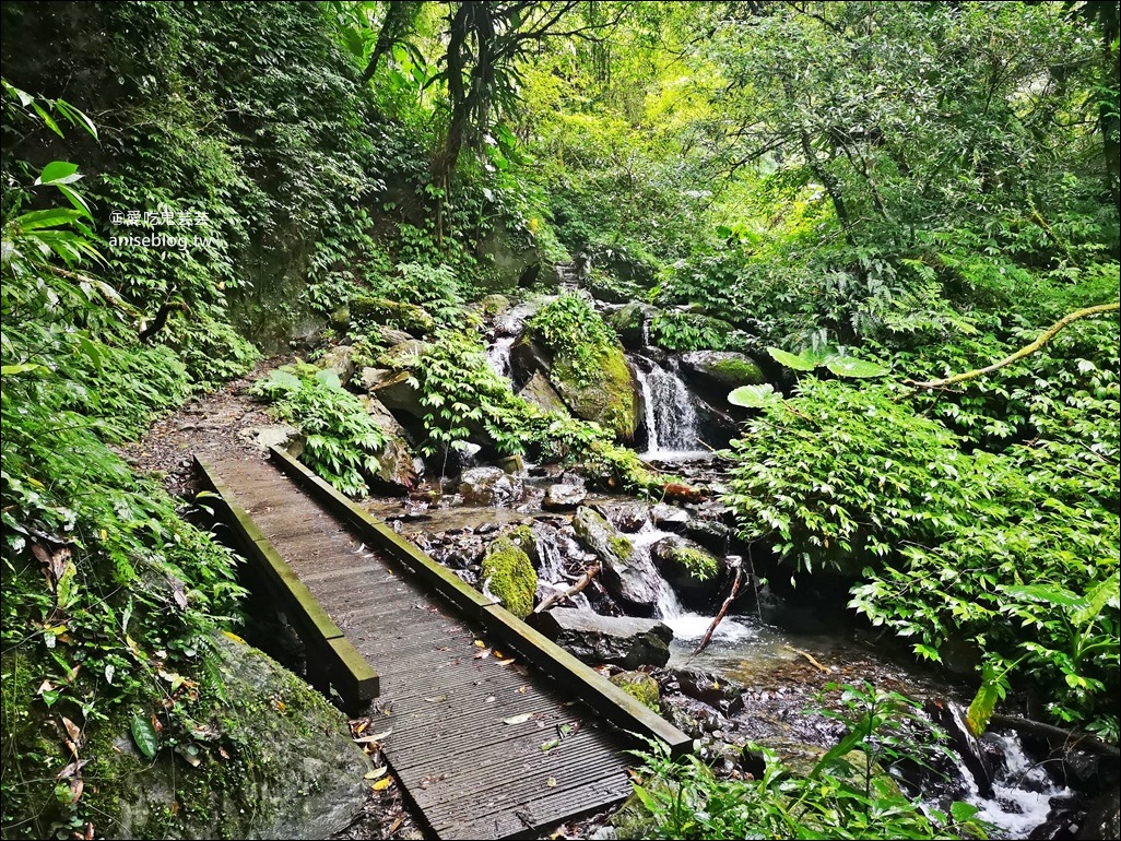 宜蘭礁溪抹茶山、聖母登山步道，遠眺龜山島俯瞰蘭陽平原絕美景緻(姊姊遊記)