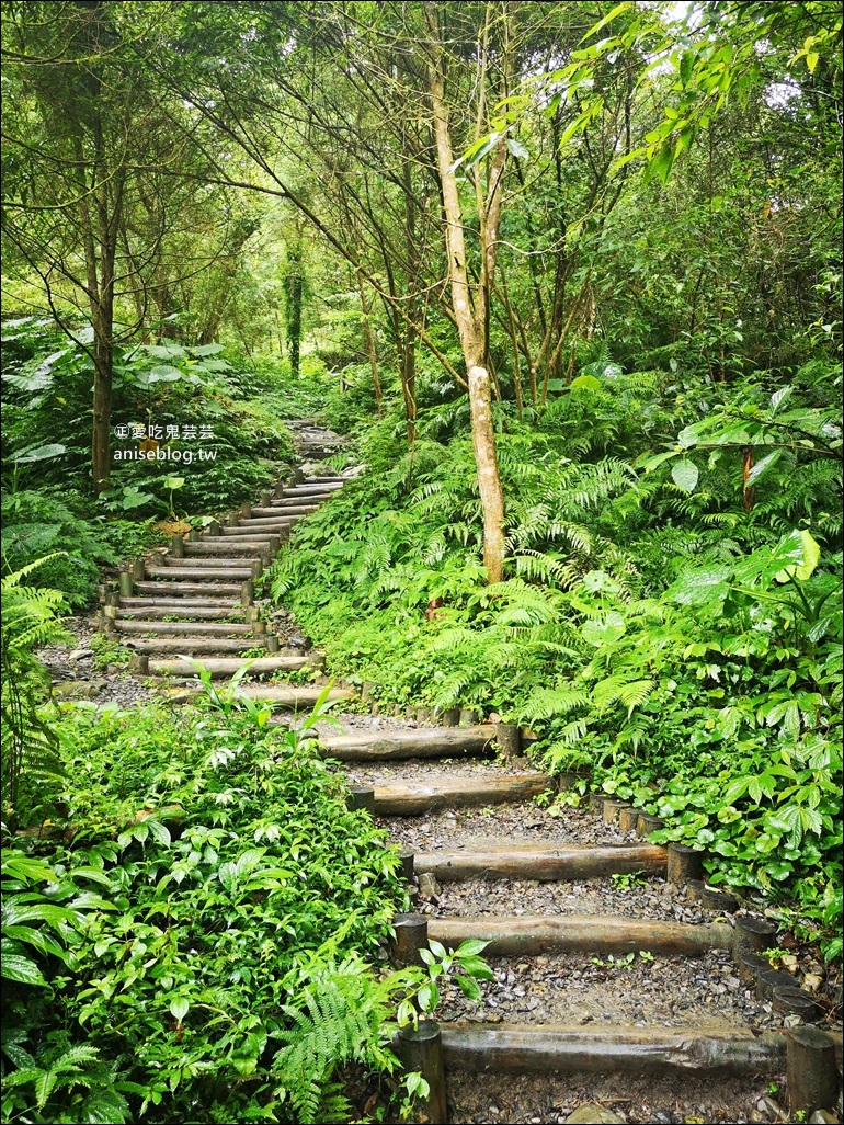 宜蘭礁溪抹茶山、聖母登山步道，遠眺龜山島俯瞰蘭陽平原絕美景緻(姊姊遊記)