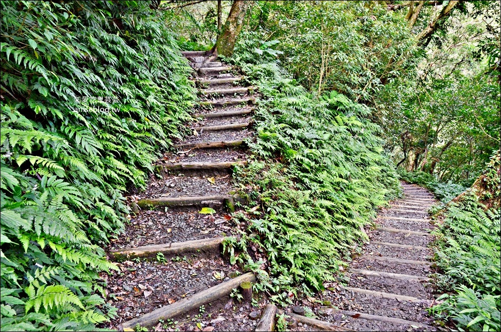 宜蘭礁溪抹茶山、聖母登山步道，遠眺龜山島俯瞰蘭陽平原絕美景緻(姊姊遊記)