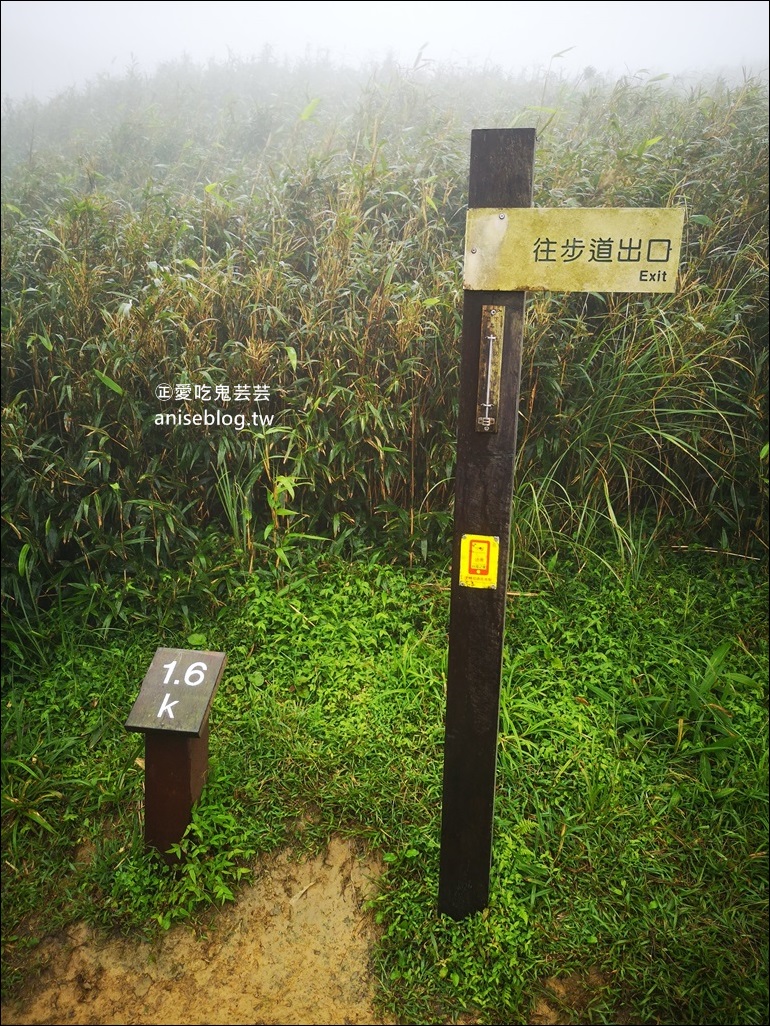 宜蘭礁溪抹茶山、聖母登山步道，遠眺龜山島俯瞰蘭陽平原絕美景緻(姊姊遊記)