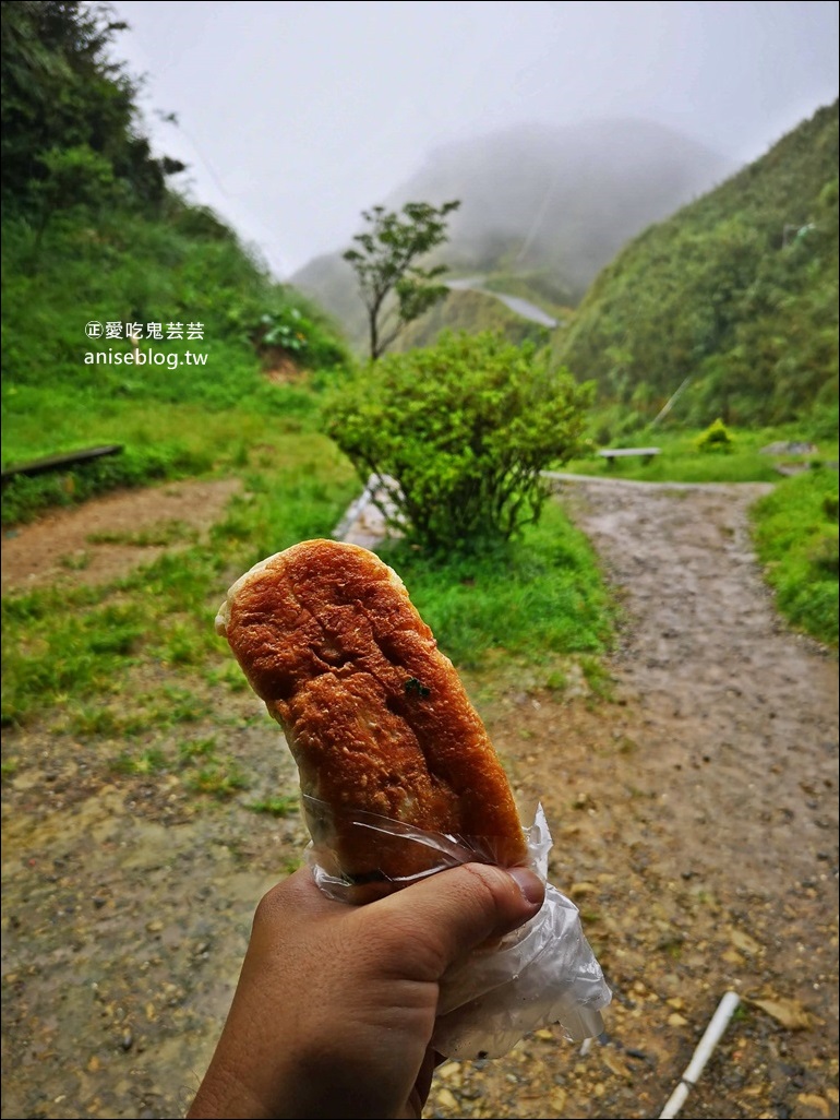 宜蘭礁溪抹茶山、聖母登山步道，遠眺龜山島俯瞰蘭陽平原絕美景緻(姊姊遊記)