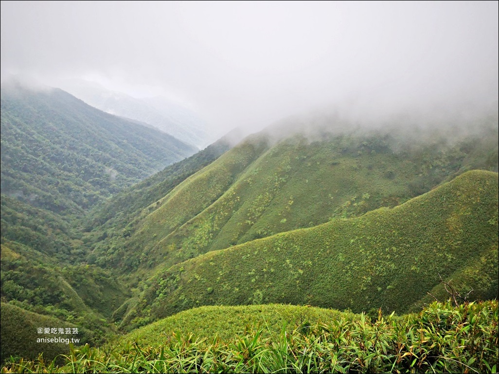 宜蘭礁溪抹茶山、聖母登山步道，遠眺龜山島俯瞰蘭陽平原絕美景緻(姊姊遊記)