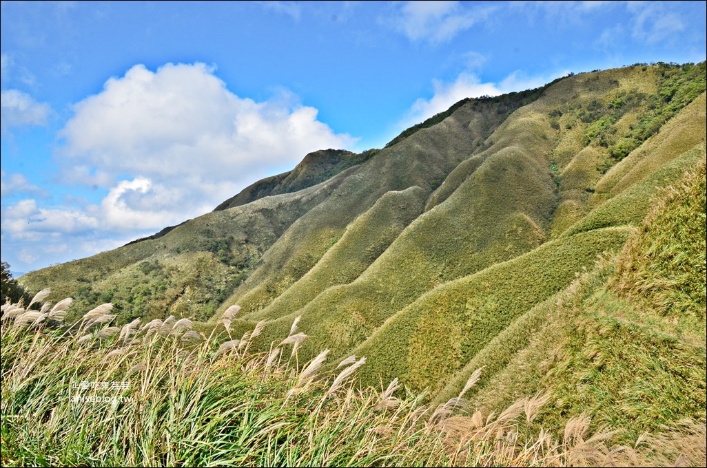 宜蘭礁溪抹茶山、聖母登山步道，遠眺龜山島俯瞰蘭陽平原絕美景緻(姊姊遊記)