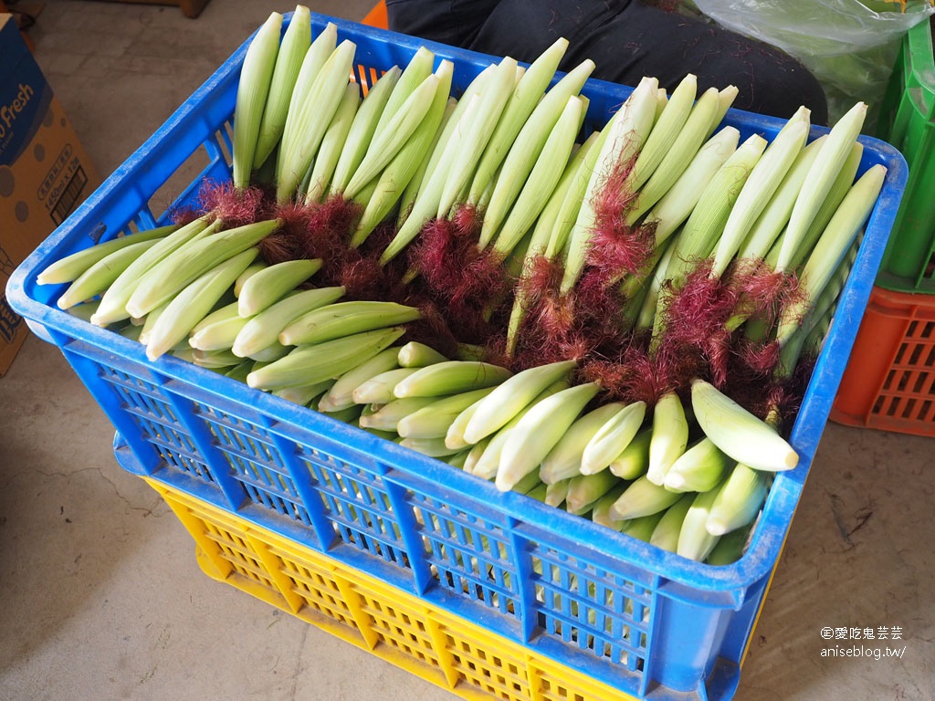 嘉義布袋親子景點 | 崇美農場，農村生態導覽、碾米、食農教育、低碳飲食、彩色湯圓 DIY