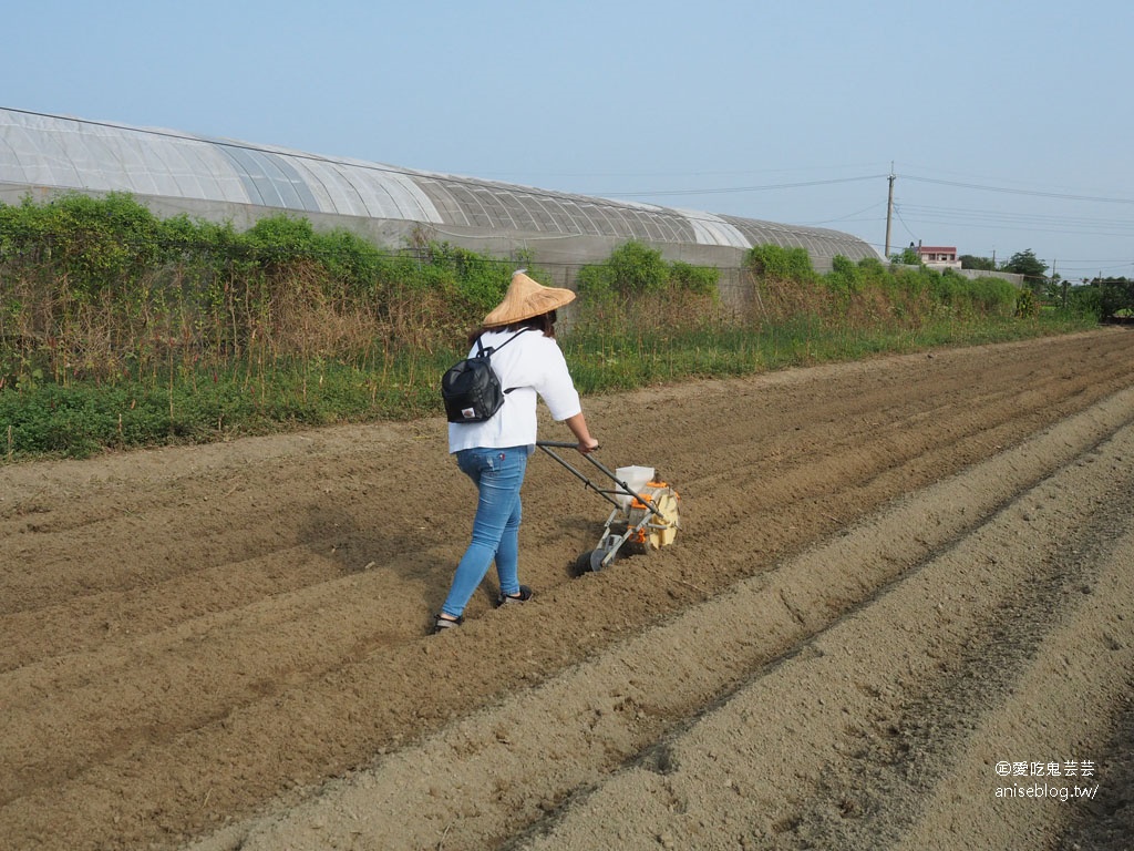 嘉義布袋親子景點 | 崇美農場，農村生態導覽、碾米、食農教育、低碳飲食、彩色湯圓 DIY