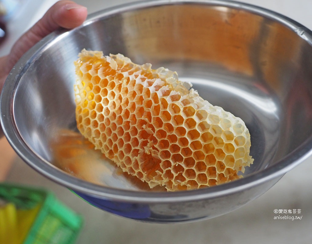 嘉義布袋親子景點 | 崇美農場，農村生態導覽、碾米、食農教育、低碳飲食、彩色湯圓 DIY