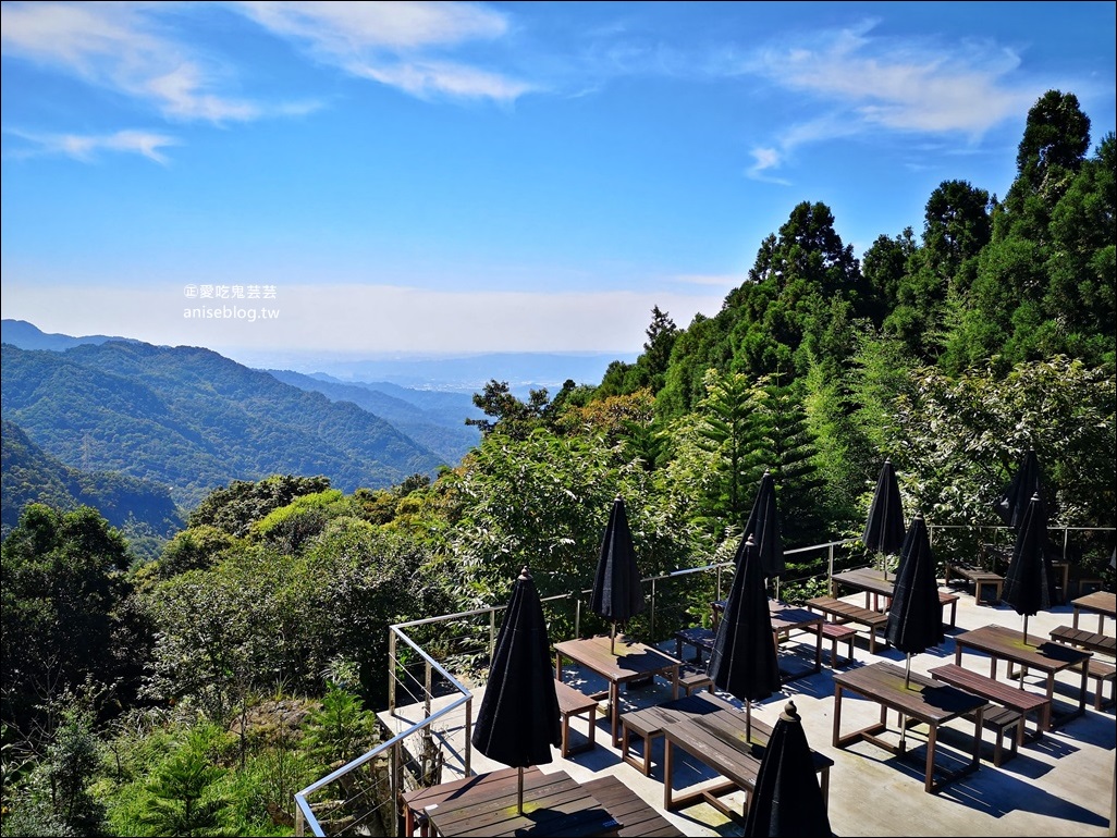 三峽熊空茶園，走一趟台北秘境森林下午茶吧！(姊姊遊記)