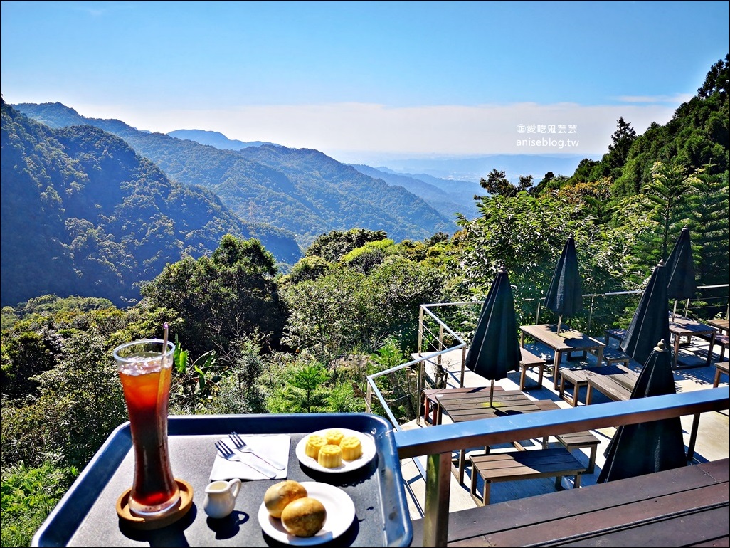 三峽熊空茶園，走一趟台北秘境森林下午茶吧！(姊姊遊記)