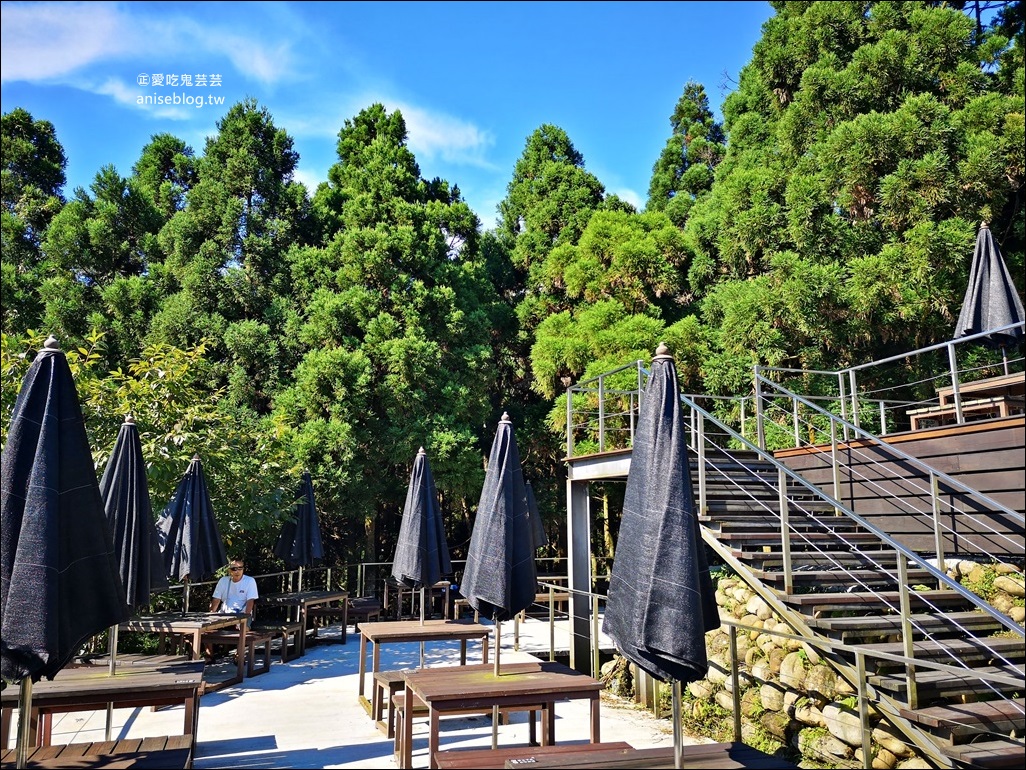 三峽熊空茶園，走一趟台北秘境森林下午茶吧！(姊姊遊記)