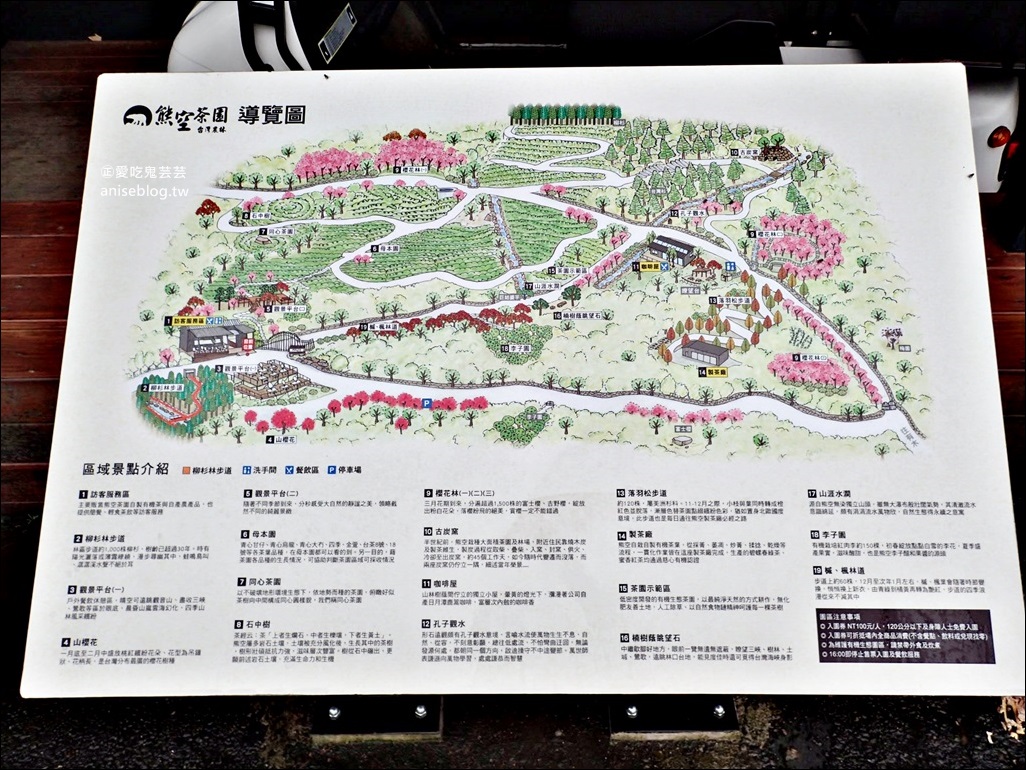 三峽熊空茶園，走一趟台北秘境森林下午茶吧！(姊姊遊記)