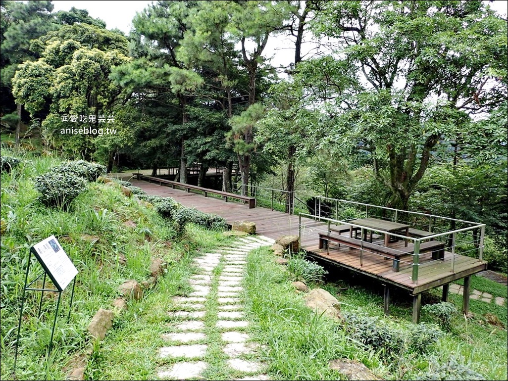 三峽熊空茶園，走一趟台北秘境森林下午茶吧！(姊姊遊記)