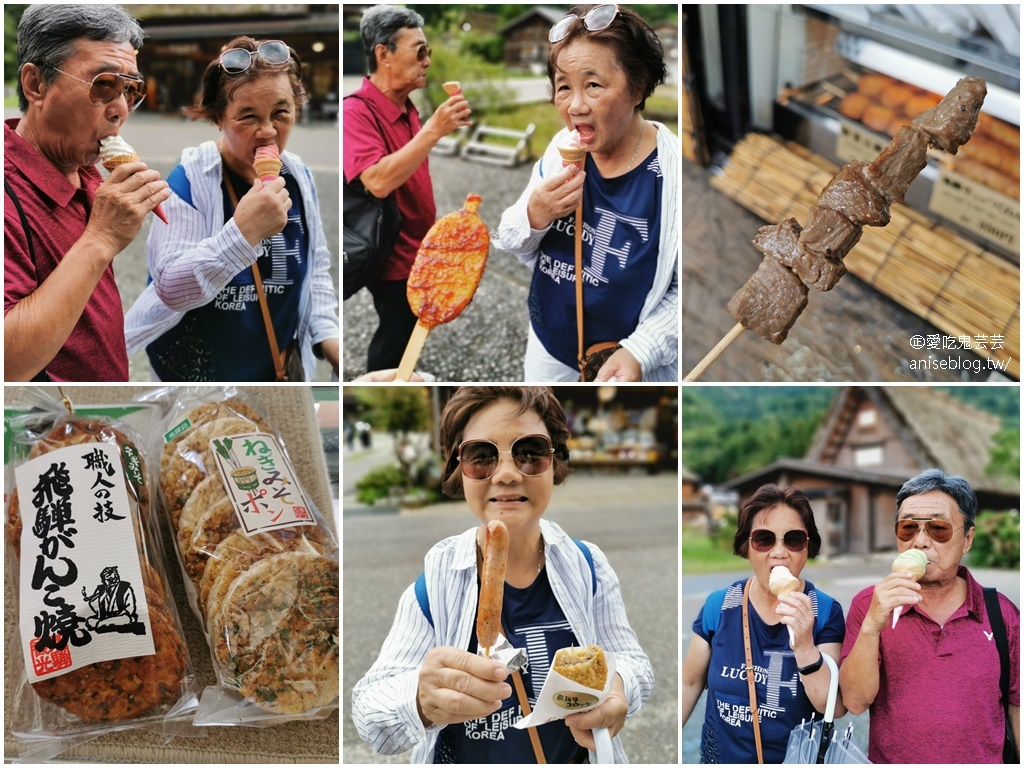 日本中部孝親之旅(上)：下呂溫泉、合掌村、宮川朝市、GREEN Cooking Studio、高山老街巡禮