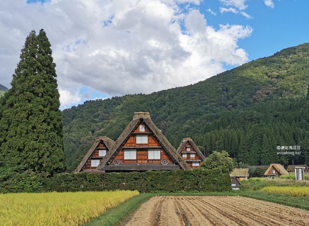 日本中部孝親之旅(上)：下呂溫泉、合掌村、宮川朝市、GREEN Cooking Studio、高山老街巡禮