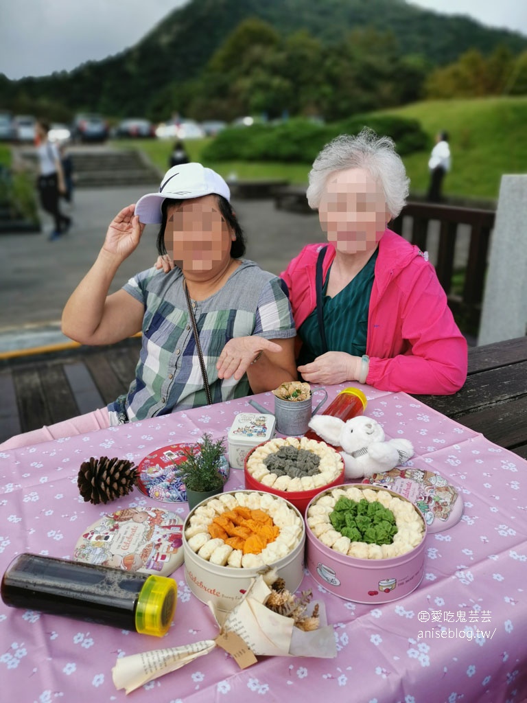 愛威鐵盒餅乾，台版珍妮曲奇餅超夯團購名物快閃SOGO忠孝館，芸芸粉絲9折優惠 😍