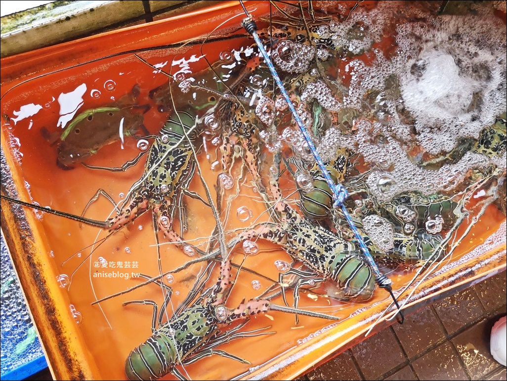 海園活海鮮餐廳吃三點蟹，又貴又好吃，東北角鼻頭角美食(姊姊食記)