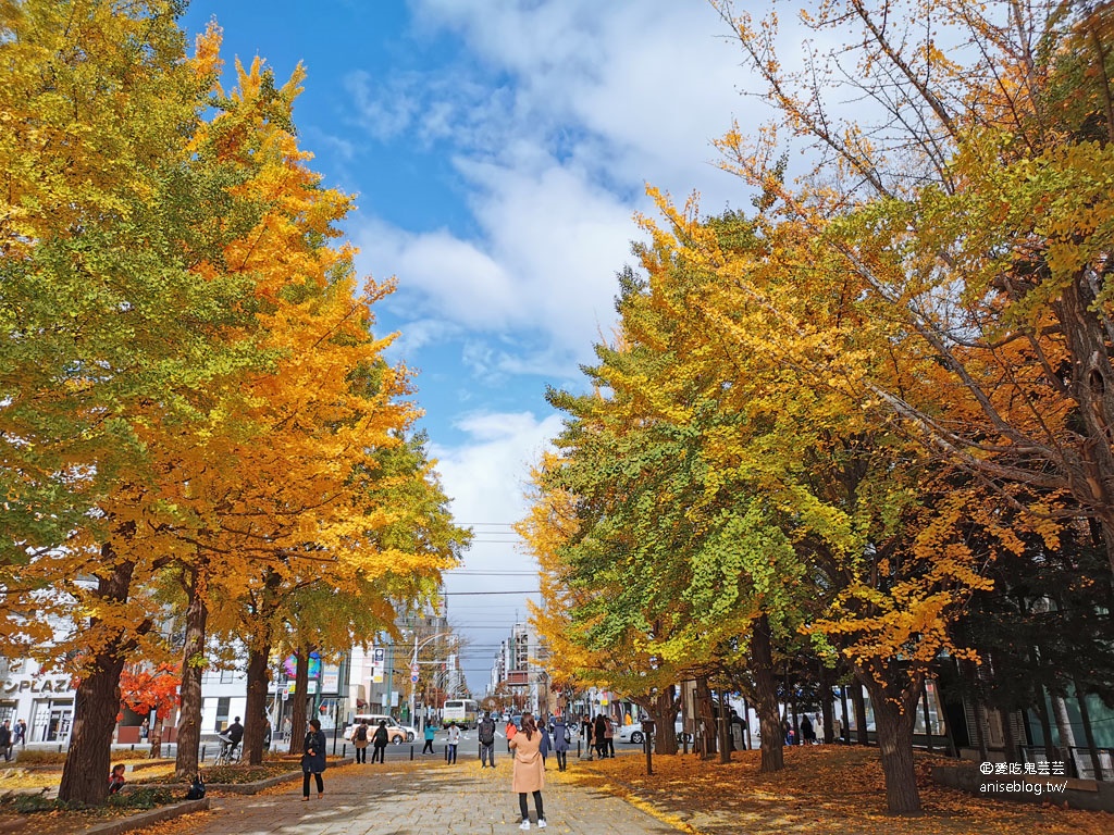 札幌女子5日小旅行 | 中島公園賞楓、札幌電視台夜景、開陽亭活毛蟹三吃、札幌啤酒博物館、北海道戀人觀光工廠、MITSUI OUTLET PARK 札幌北廣島、舊道廳、tsubaki salon吃鬆餅