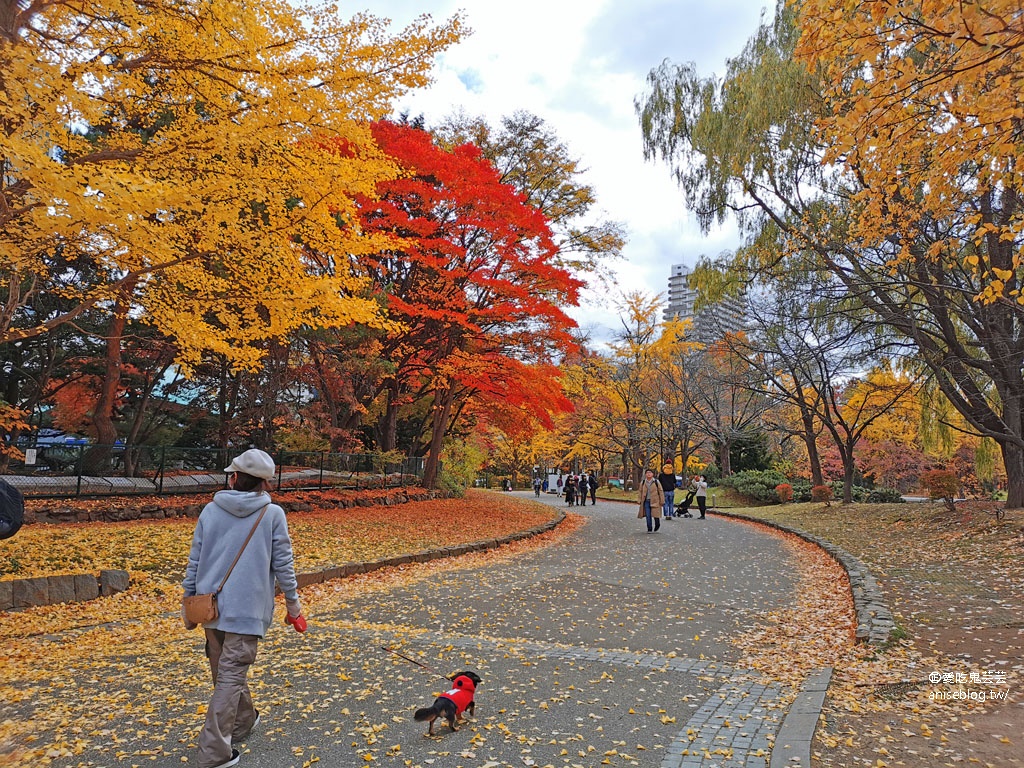 札幌女子5日小旅行 | 中島公園賞楓、札幌電視台夜景、開陽亭活毛蟹三吃、札幌啤酒博物館、北海道戀人觀光工廠、MITSUI OUTLET PARK 札幌北廣島、舊道廳、tsubaki salon吃鬆餅