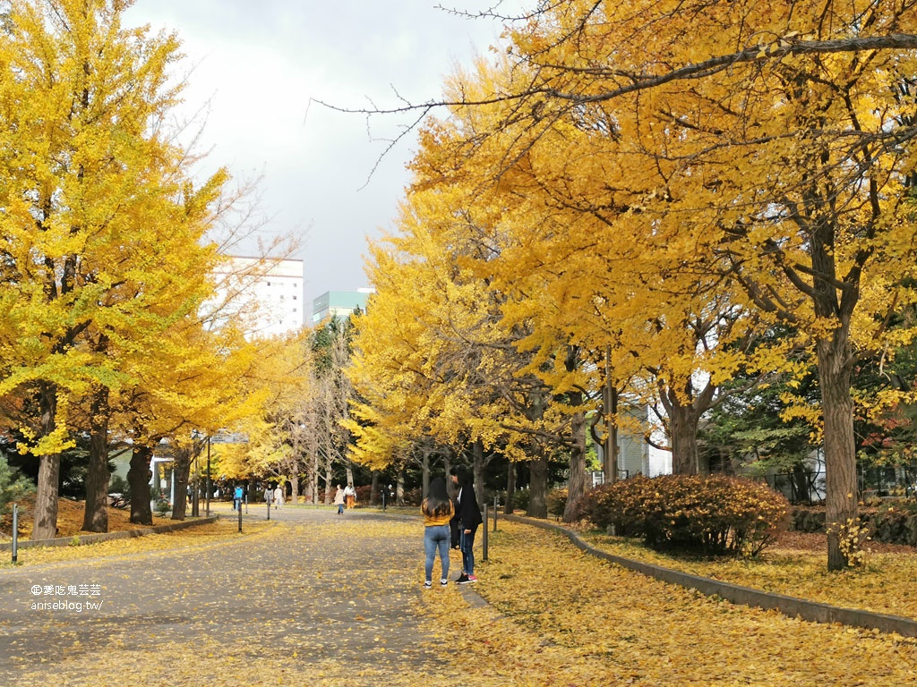 札幌女子5日小旅行 | 中島公園賞楓、札幌電視台夜景、開陽亭活毛蟹三吃、札幌啤酒博物館、北海道戀人觀光工廠、MITSUI OUTLET PARK 札幌北廣島、舊道廳、tsubaki salon吃鬆餅